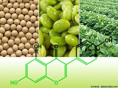 Соевые бобы против ВИЧ?